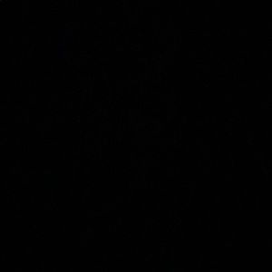 Meet your Posher, Jordyn